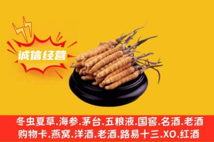 天津市滨海回收冬虫夏草